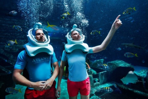 Aqua Trek Xtreme + Lost Chambers Aquarium - clicktoguide