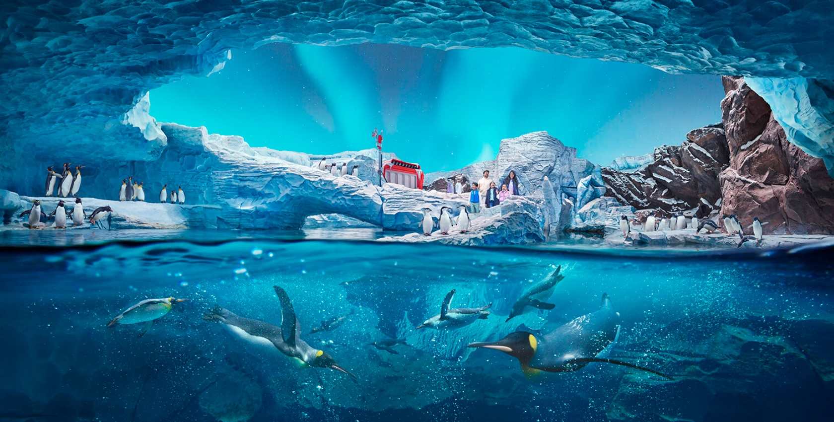 SeaWorld Abu Dhabi: Antartica