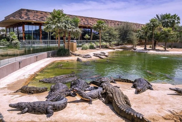 Dubai Crocodile Park: Natural Wildlife