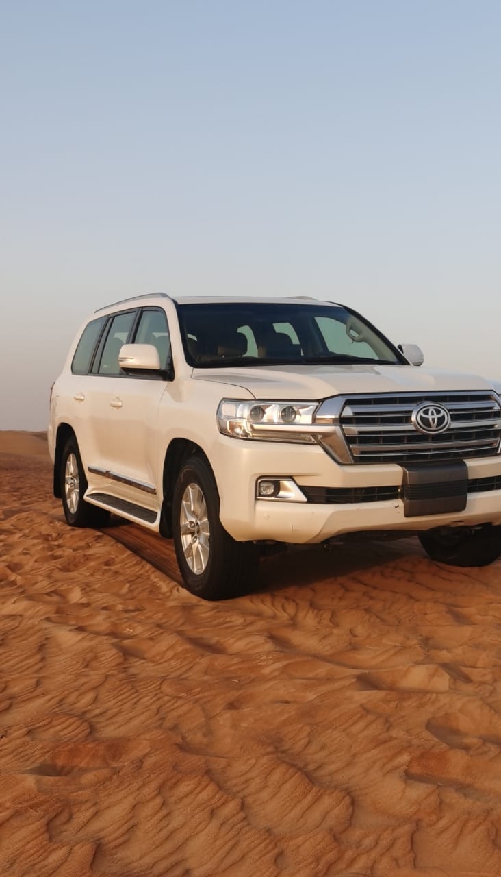 Desert Safari in Ras Al Khaimah: Dune Bashing