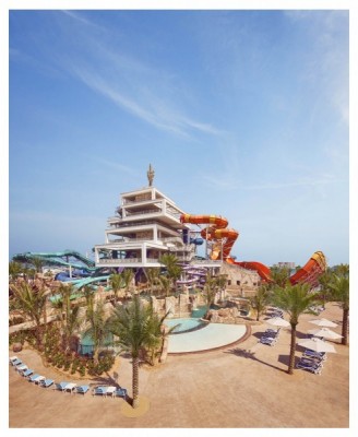 Dolphin Meet & Greet - Aquaventure