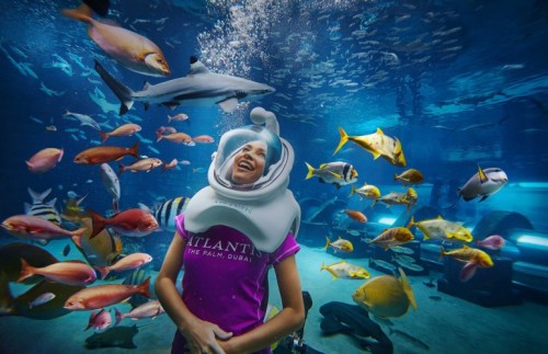 Aqua Trek Xtreme: Girl Aqua Trek