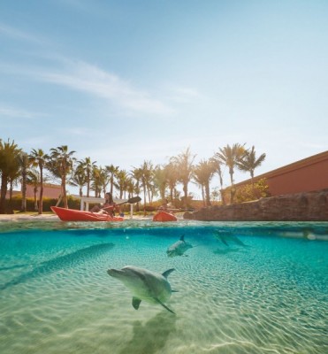 Dolphin Kayak with Aquaventure Waterpark - clicktoguide