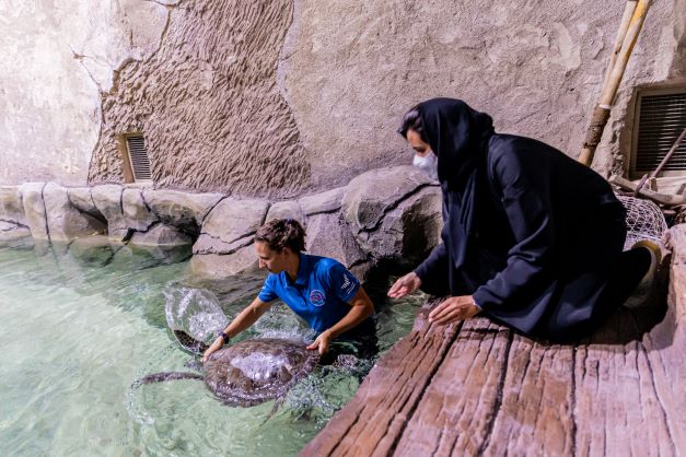 The National Aquarium Abu Dhabi: Maitha and Bea