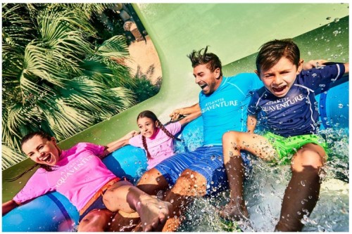 Dolphin Paddle: Family Ride
