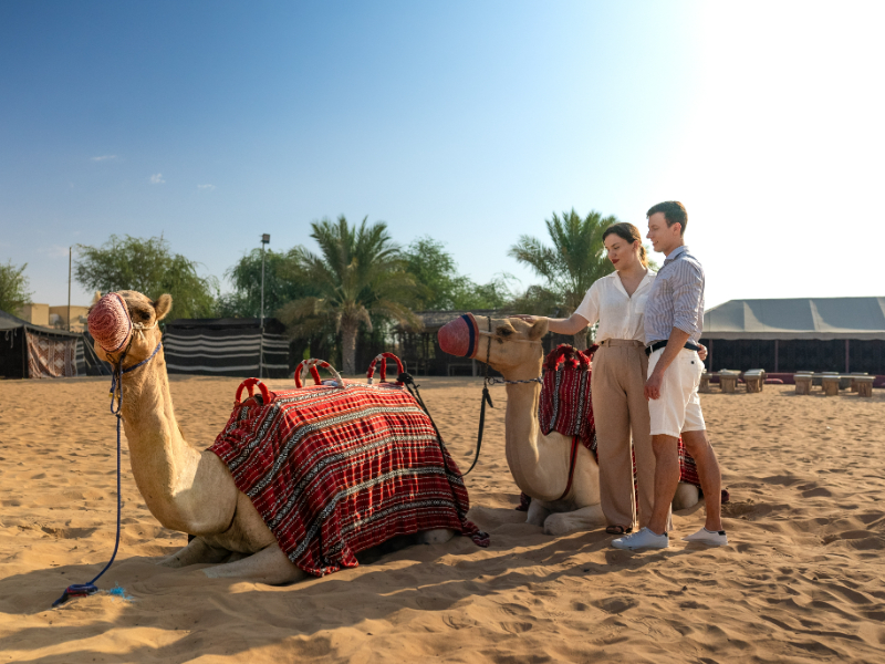 Hot Air Balloon in Dubai: Camel Ride