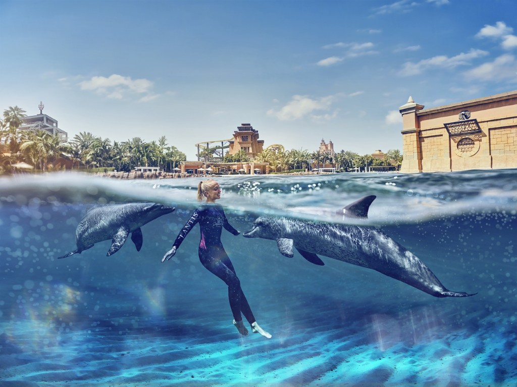 Dolphin Swim & Explore + Aquaventure Waterpark - clicktoguide