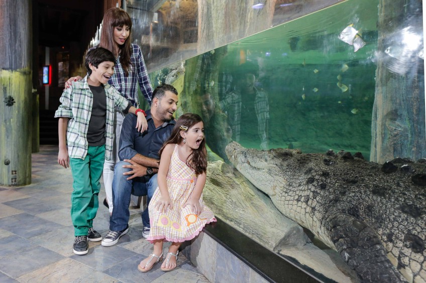 Dubai Mall Aquarium: Kings Crocs