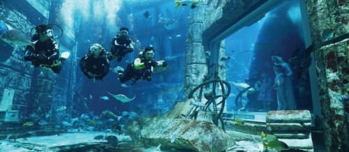 Dive Experience: Lost City Dive