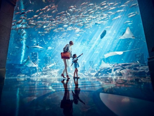 Aqua Trek Xtreme: Family Aquarium