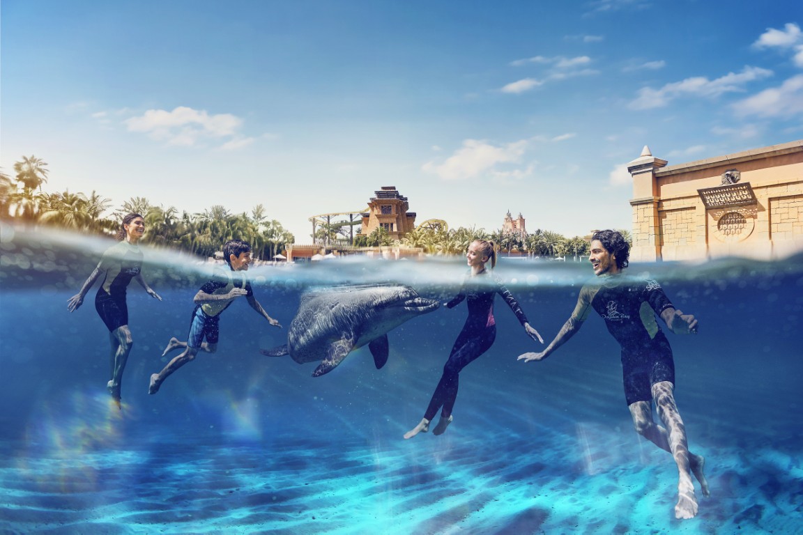Dolphin Swim & Explore - Family Swim