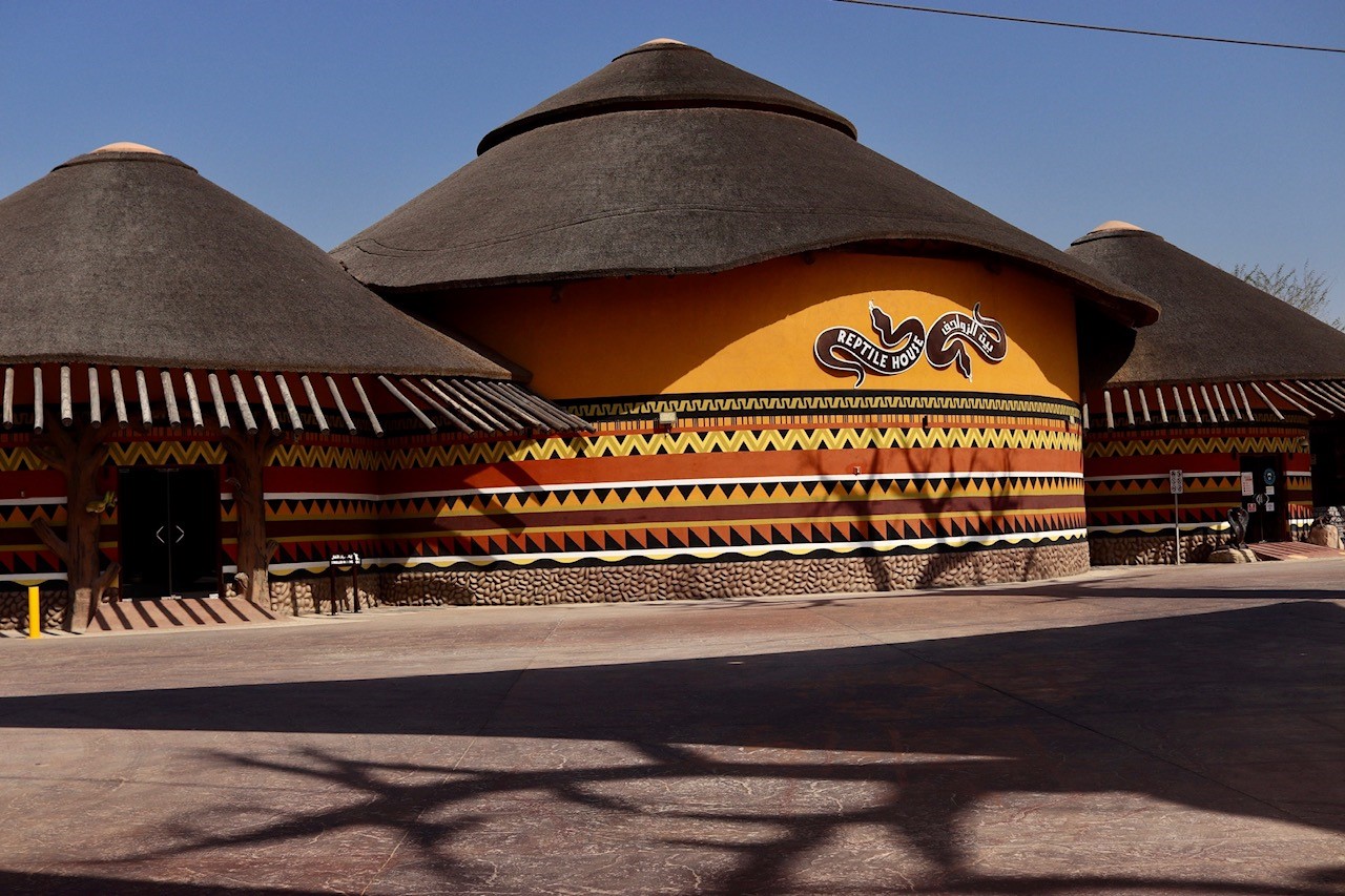 Dubai Safari Park: Reptile House