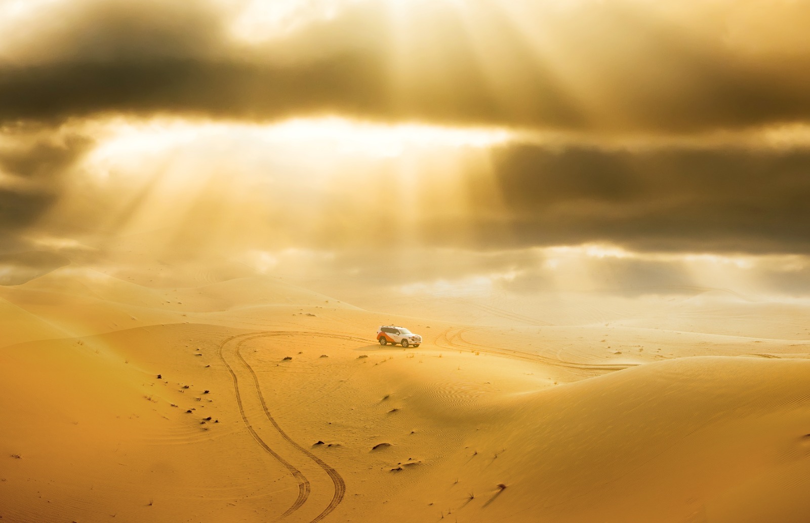 Desert Safari in Abu Dhabi: Dune Bashing