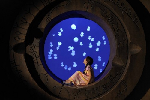 Aqua Trek Xtreme: Jelly Fish