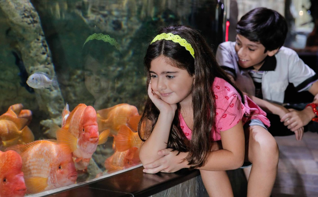 Dubai Mall Aquarium: Kids fish Tank