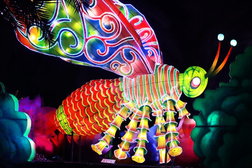 Dubai Garden Glow: Animals