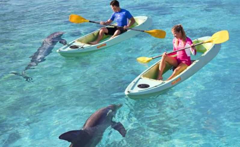 Dolphin Kayak: Kayaking