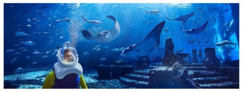 Aqua Trek Xtreme: Aqua Trek