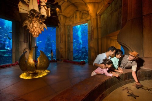 Atlantis Aquaventure: Family Activity