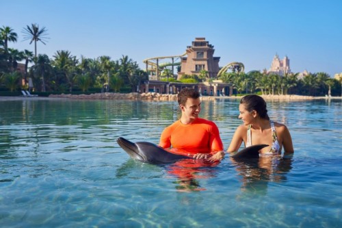 Atlantis Aquaventure: Couple Moments with dolphins